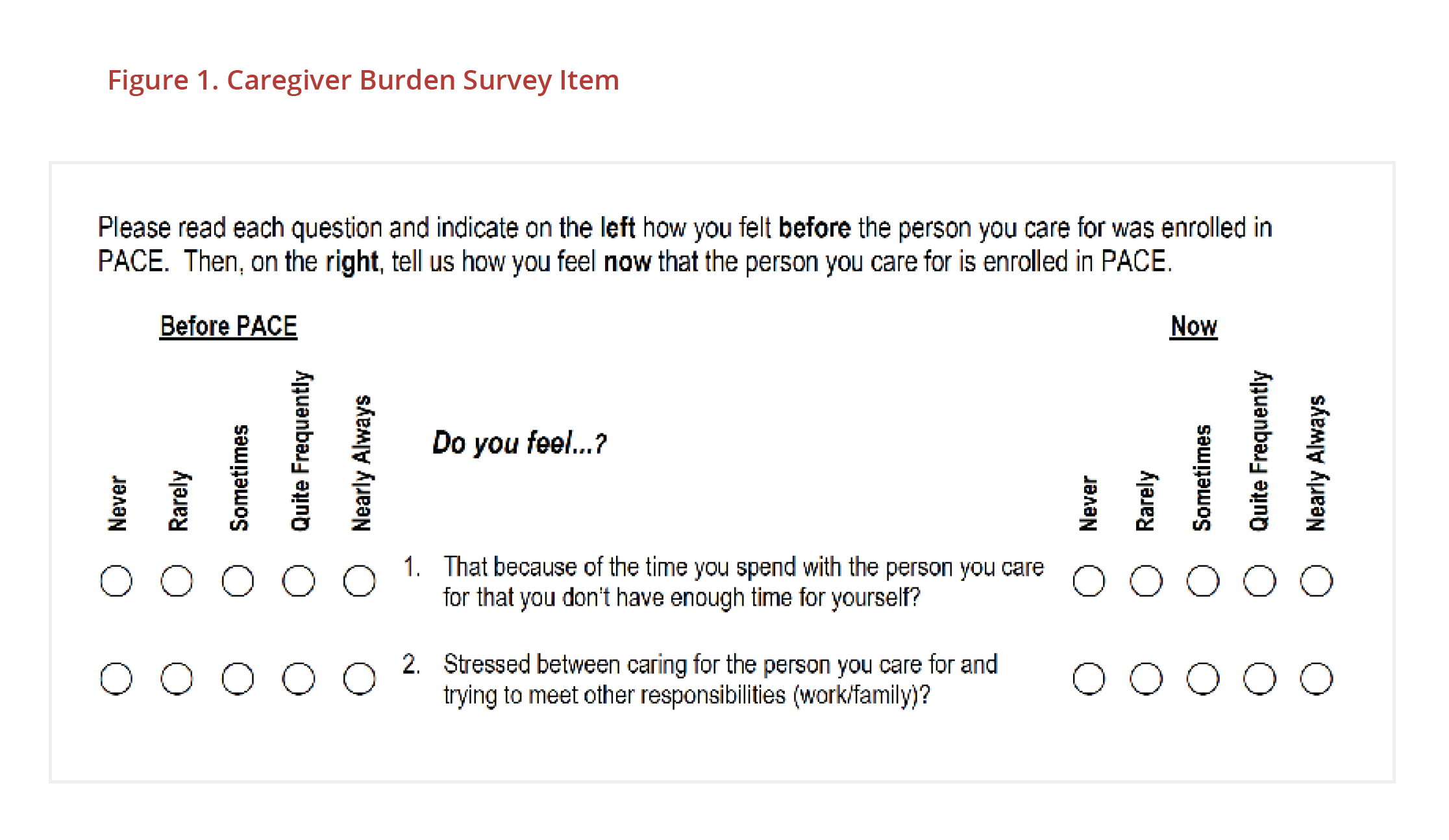 Figure 1 Caregiver Burden Survey Item