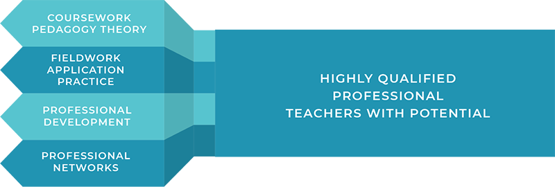 Figure 1. Increased Professionalization of Teaching Practice
